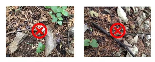 去戶外露營,有關帳篷的使用和保養注意事項