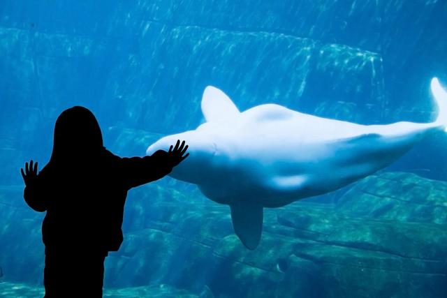 關(guān)島自由行攻略,關(guān)島必去旅游景點(diǎn)和5天行程推薦