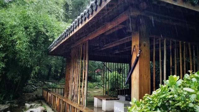 來自德國歐賽姆(EUROSCHIRM) 防身雨傘,荒野探險結實又耐用