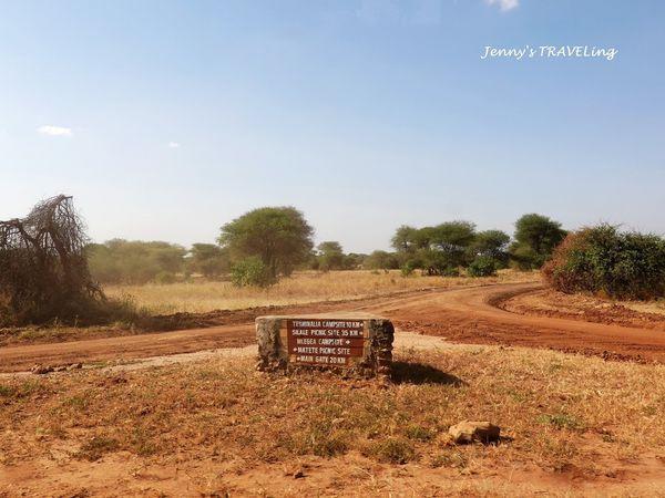 非洲坦桑尼亞獵游,你需要知道的旅行攻略