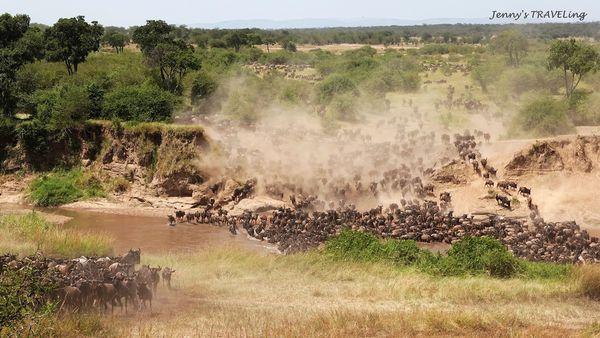 非洲坦桑尼亞獵游,你需要知道的旅行攻略