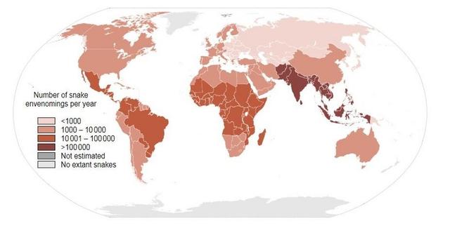 全球劇毒蛇類圖鑒,在野外如何預防毒蛇?被毒蛇咬傷該如何自救?