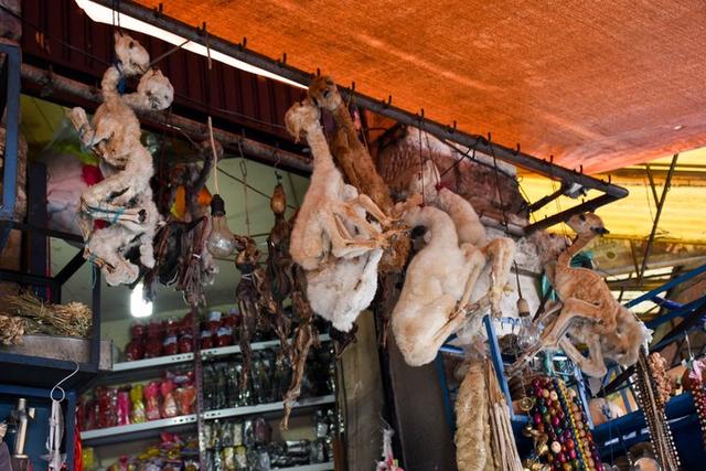 真正的天空之城,世界上最高的首都玻利維亞拉巴斯(La Paz)