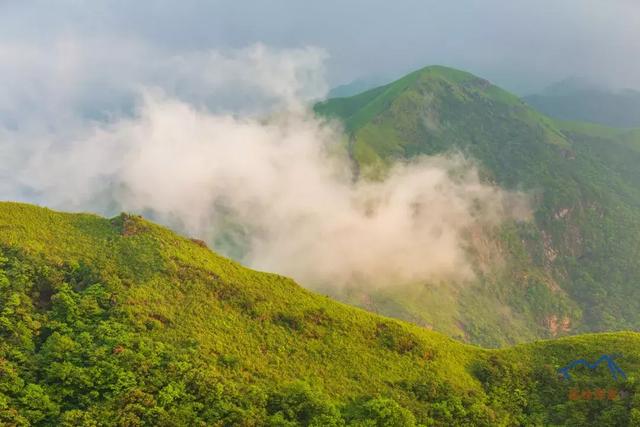 武功山上看云中草原,詳細實用的武功山徒步攻略