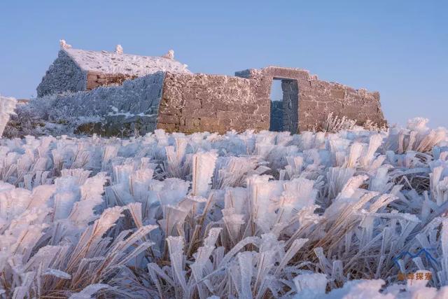 武功山上看云中草原,詳細實用的武功山徒步攻略
