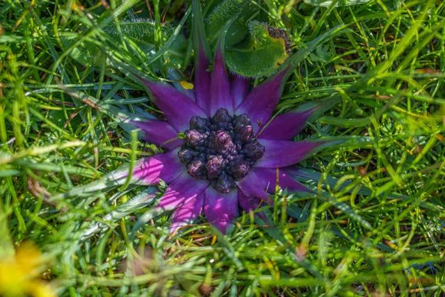 甘南旅游必去年保玉則,最詳細的年保玉則徒步穿越攻略