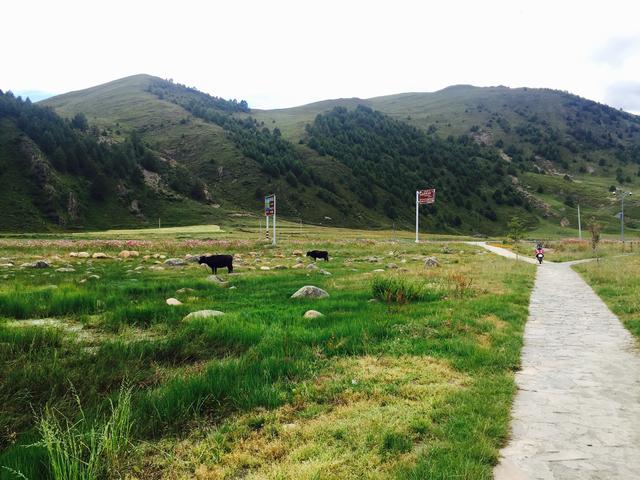 背包客的流浪記,走一趟四川去稻城亞丁