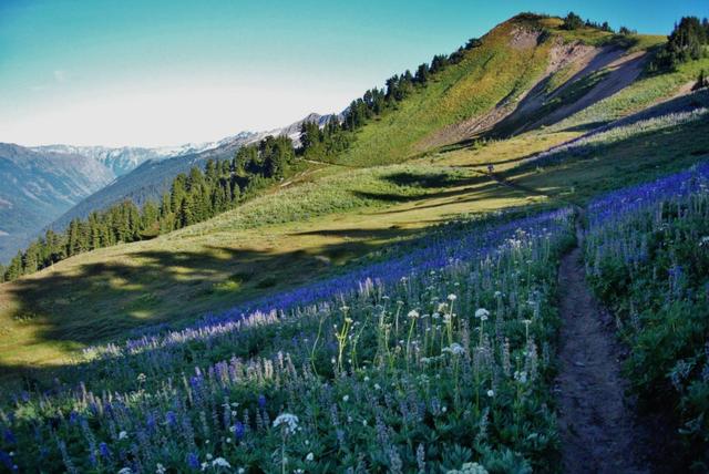 徒步旅行愛好者一生不可錯過的三條徒步路線