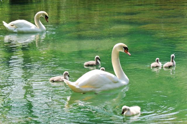 德國自助旅行攻略,德國旅游必去城市及必游景點推薦