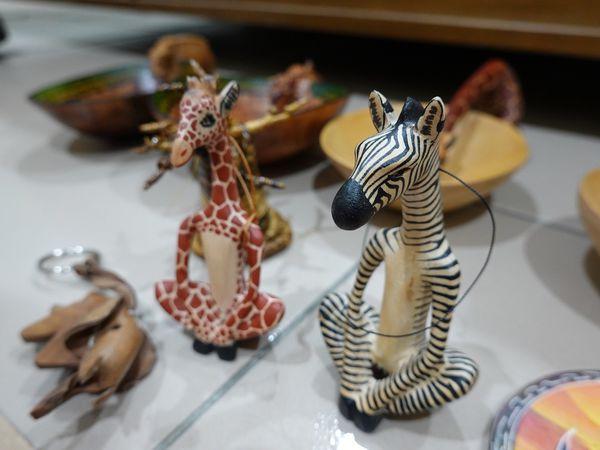 非洲坦桑尼亞獵游,你需要知道的旅行攻略