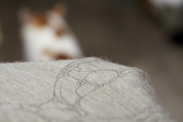 戶外裝備,Houdini羊毛排汗衣和速干短褲實測