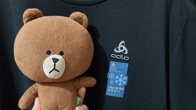 新入手的Salomon登山鞋,Gregory背包,OdloT恤開箱實測