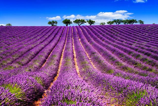 法國(guó)自助游攻略,為你推薦一條法國(guó)最省錢自駕游路線