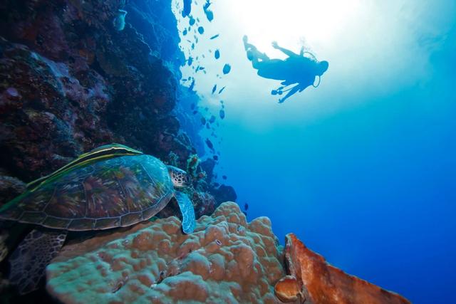 泰國普吉島自由行,4天3夜游全攻略