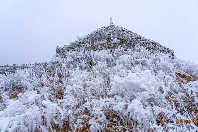 武功山上看云中草原,詳細實用的武功山徒步攻略