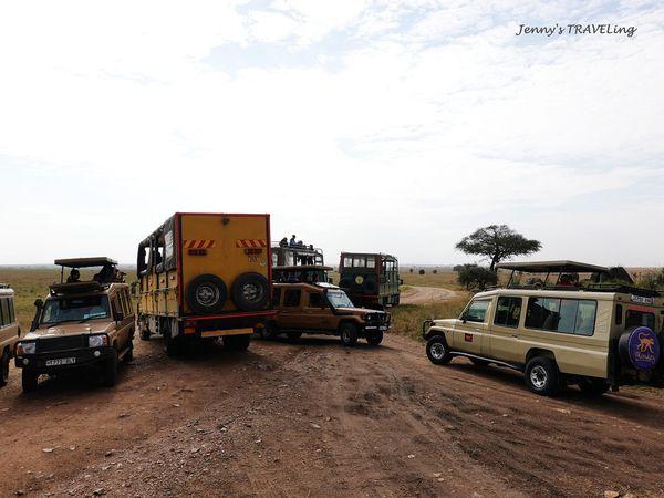 非洲坦桑尼亞獵游,你需要知道的旅行攻略