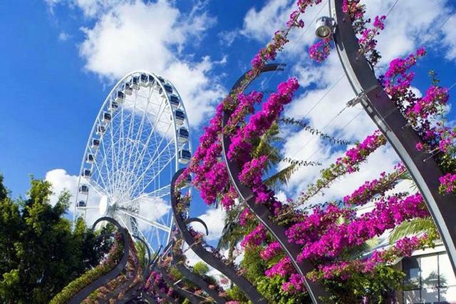 澳大利亞布里斯班旅游攻略,自由行必去景點和行程推薦