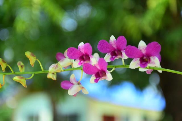 新加坡哪兒最好玩,新加坡免費熱門景點推薦攻略