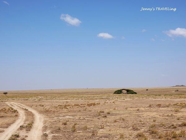 非洲坦桑尼亞獵游,你需要知道的旅行攻略
