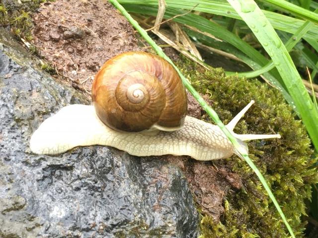 百變多用途,BUFF多功能魔術(shù)頭巾測評體驗(yàn)