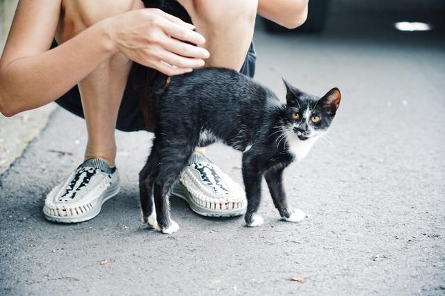 KEEN UNEEK潮款涼鞋,來一趟悠悠哉哉的日常漫游