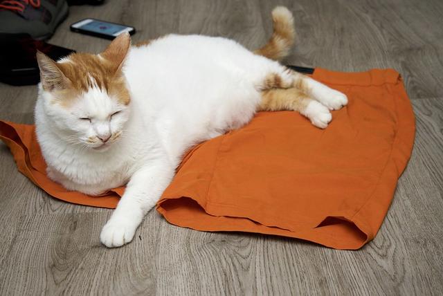 戶外裝備,Houdini羊毛排汗衣和速干短褲實測