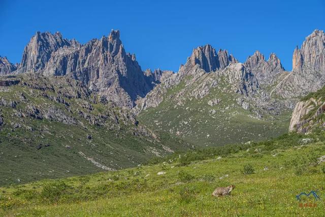 甘南旅游必去年保玉則,最詳細的年保玉則徒步穿越攻略