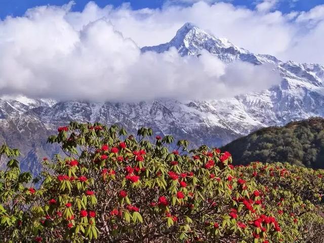 尼泊爾旅行攻略,在尼泊爾徒步旅行的常見問題