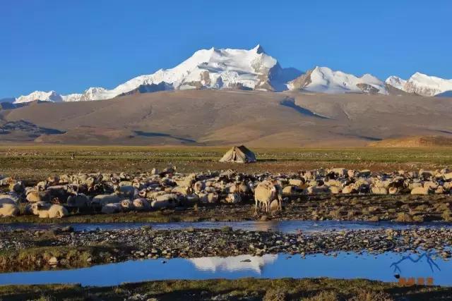 希夏邦馬徒步攻略,一座完全坐落于中國境內(nèi)的8000米級山峰