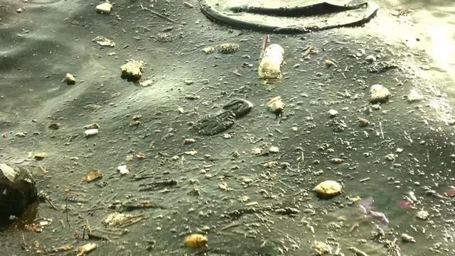 在野外如何尋找水源,戶外安全飲水的凈化和消毒處理