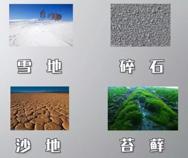 出去露營應該注意什么?想去戶外野營需要了解的必備常識