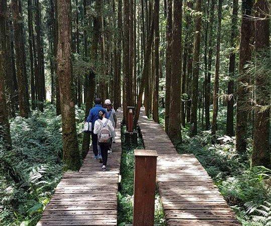 戶外登山小常識,強化上、下坡能力的上下樓梯訓練