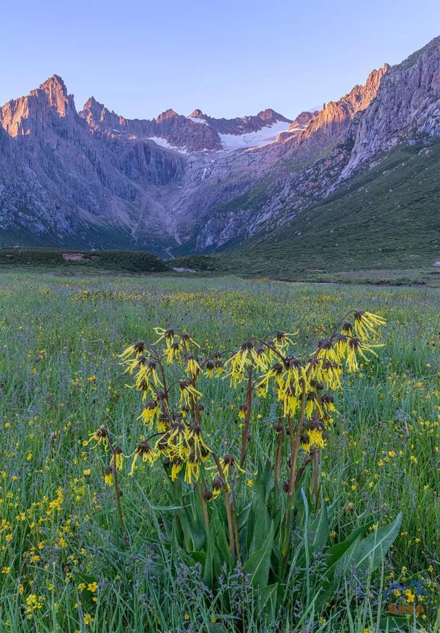 甘南旅游必去年保玉則,最詳細的年保玉則徒步穿越攻略