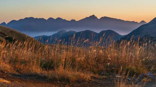 武功山上看云中草原,詳細實用的武功山徒步攻略