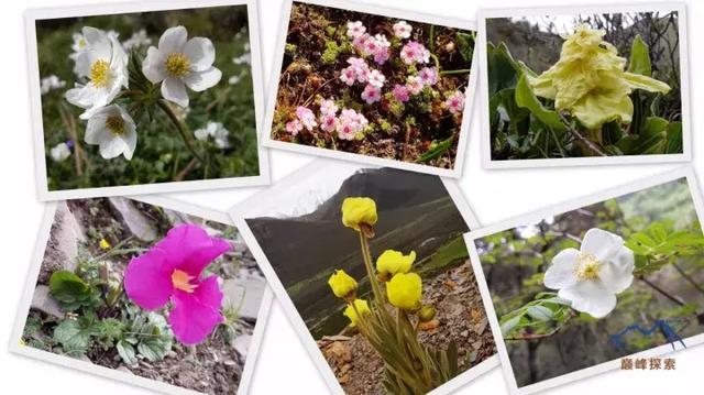 貢嘎山徒步穿越線路攻略,記錄絕美貢嘎山系的美景