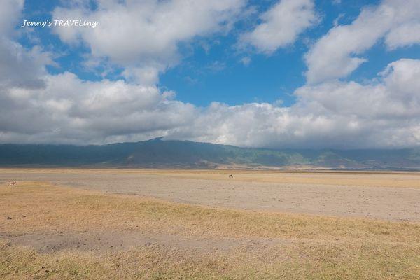 非洲坦桑尼亞獵游,你需要知道的旅行攻略