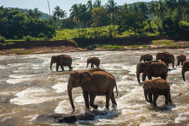 印度自助游旅行指南,印度旅行全攻略