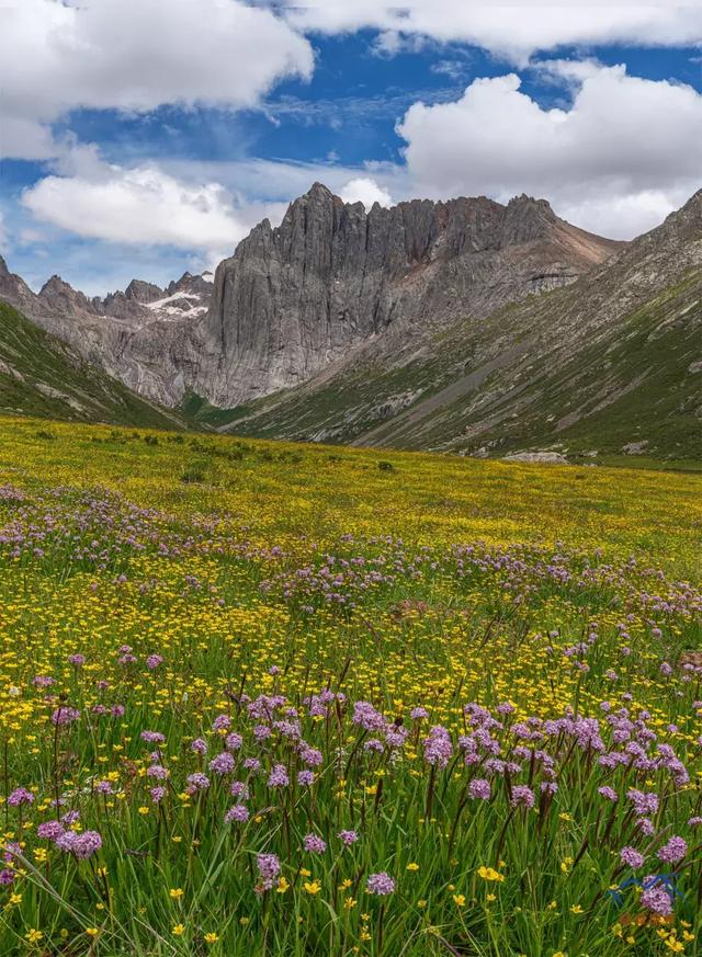 甘南旅游必去年保玉則,最詳細的年保玉則徒步穿越攻略