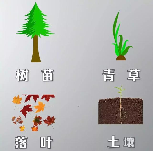 出去露營應該注意什么?想去戶外野營需要了解的必備常識