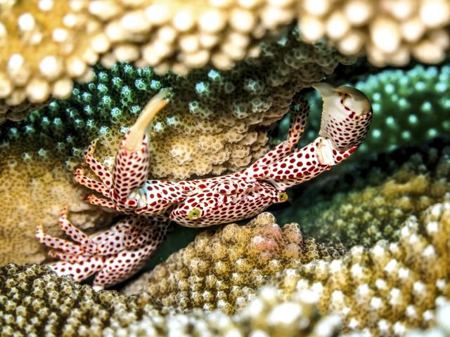 去馬來西亞哪兒最好玩,馬來西亞旅游必去的免費熱門景點攻略