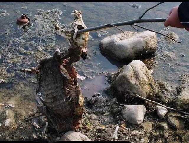 在野外如何尋找水源,戶外安全飲水的凈化和消毒處理