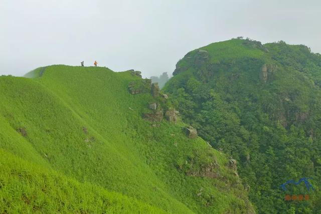 武功山上看云中草原,詳細實用的武功山徒步攻略