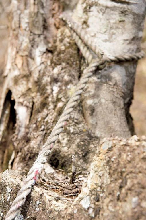 戶外活動(dòng)中的行走技巧,安全的行走方法