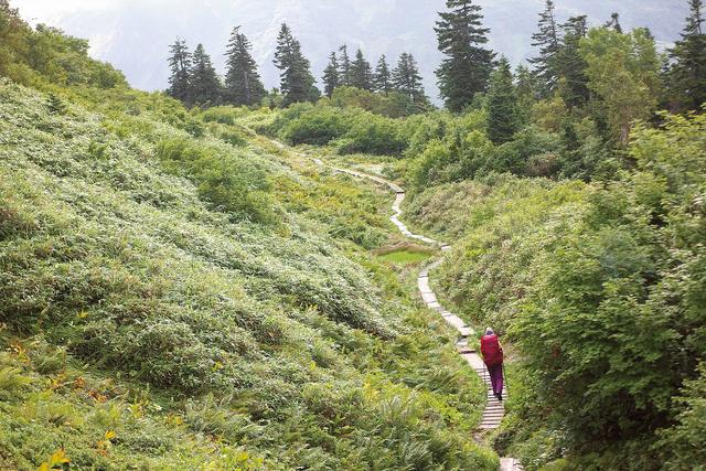 參加戶外活動(dòng),驢友常見的戶外裝備突發(fā)狀況解決方法