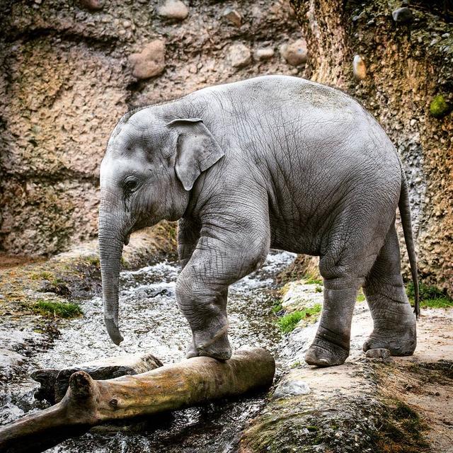 瑞士蘇黎世旅游攻略,蘇黎世必去景點和3天2夜行程推薦