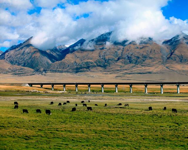 自駕游去哪里好玩,你想象不到的中國最美自駕好去處