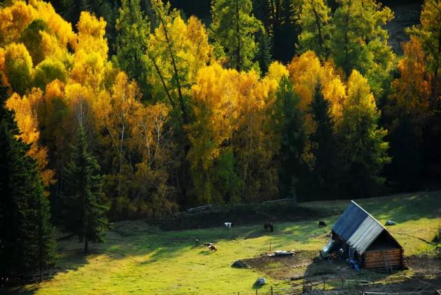 新疆旅行攻略,新疆徒步到底應(yīng)該怎么玩？