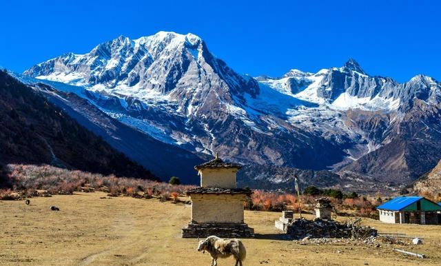 尼泊爾經典徒步路線,馬納斯魯峰大環線MCT雪山徒步攻略