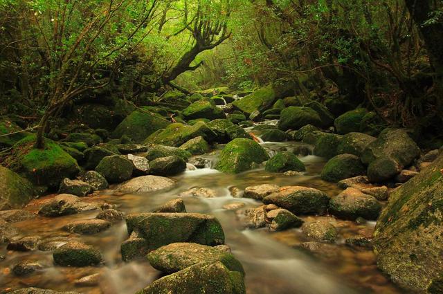 適合徒步旅行的地方,徒步旅行愛好者必收藏