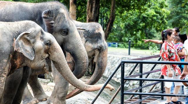去泰國自由行前,你要知道的旅游攻略指南